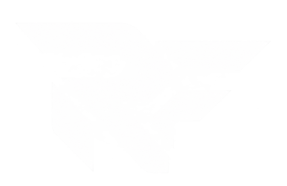 Logo Roger Fernando